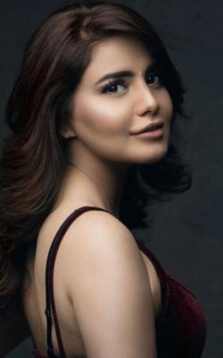 high profile Vijayawada call girl